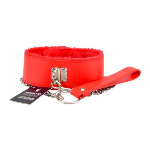Halsband met Riem (2kleuren)