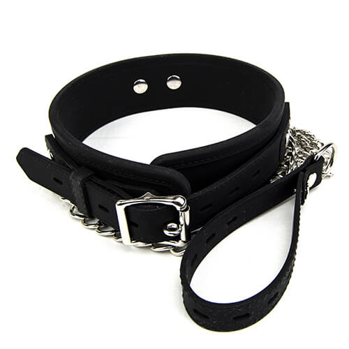 halsband en lijnset